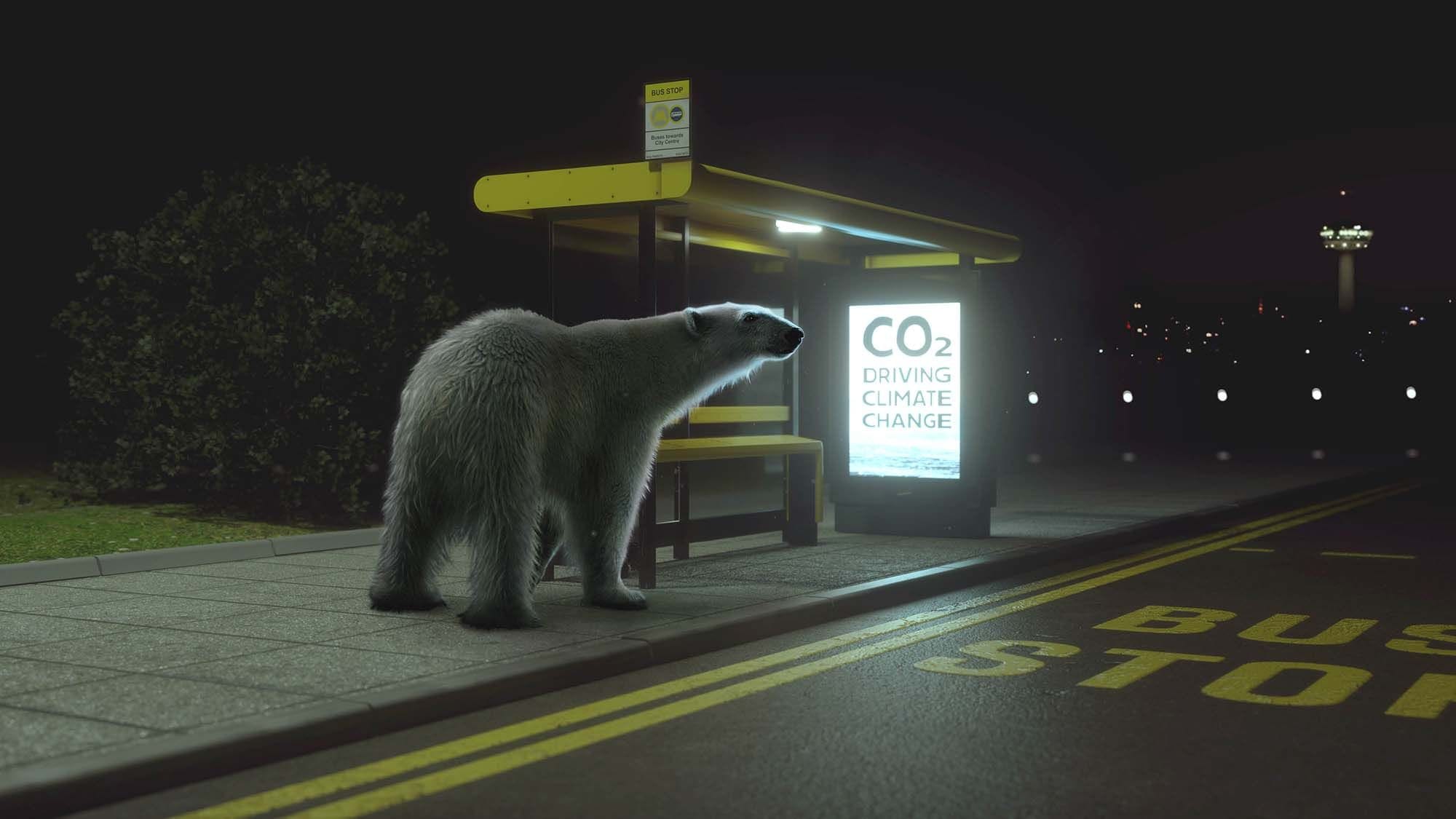 polar bear better by bus